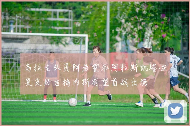乌拉圭队员阿劳霍和阿拉斯凯塔恢复良好吉梅内斯有望首战出场
