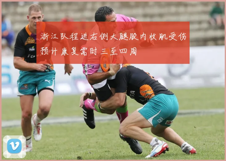 浙江队程进右侧大腿股内收肌受伤预计康复需时三至四周